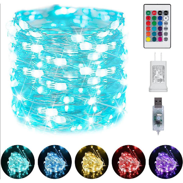 The Holiday Aisle® Eevi 792'' LED Battery Powered Rope String Light